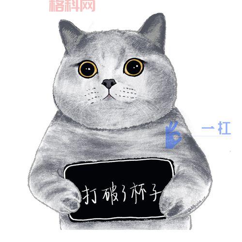 监狱猫计划：猫咪如何改变高墙内的生活？