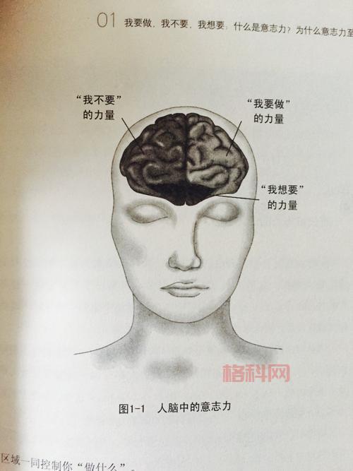 兄贵精神解读：力量与意志的象征