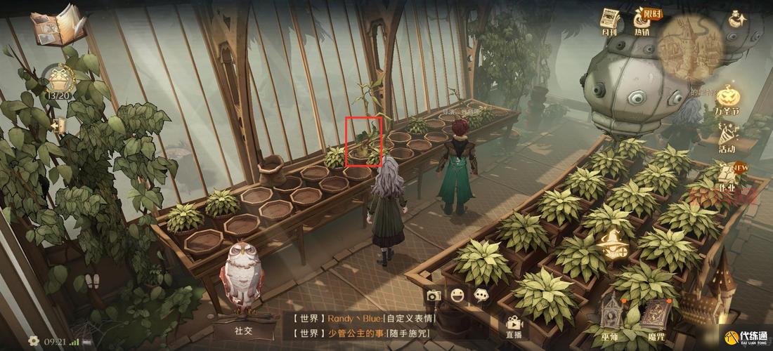 哈利波特魔法觉醒10.10拼图寻宝：线索分享与挑战