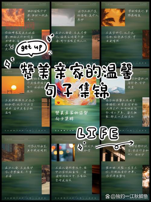 极品网络用语解析：从赞美到贬低的转变