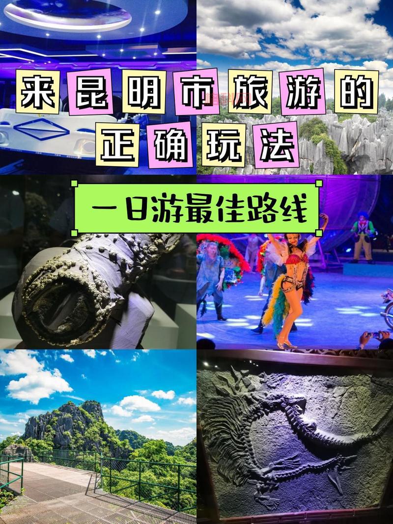 狂野星球：探索星际大战与魔法共存的奇幻世界