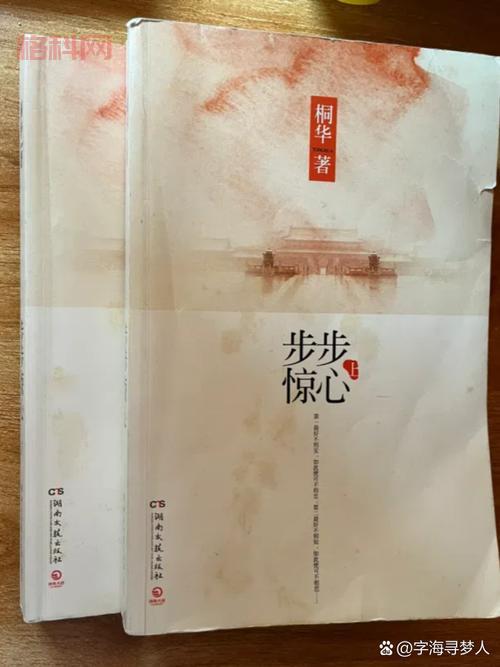 后宫步步惊心攻略：从秀女到皇贵妃的权谋之路