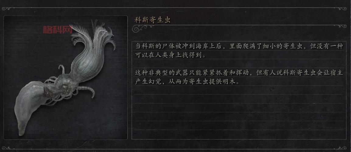 跨过俺的尸体：挑战诅咒与神秘力量的冒险之旅