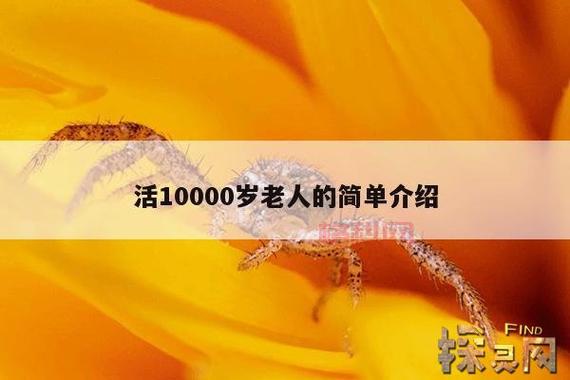 世界最长寿男子去世，114岁辞世，探索长寿之道