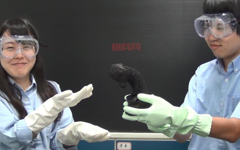 蔗糖遇浓硫酸反应实验：黑色碳化现象的原因分析