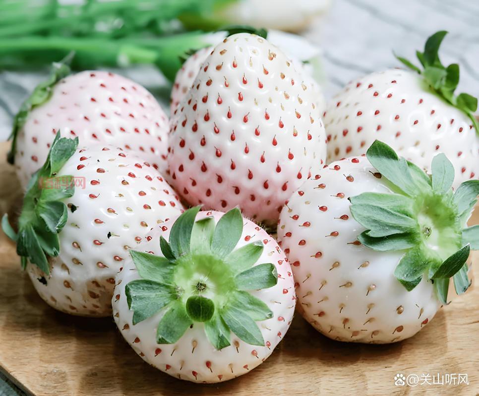 摩尔庄园白草莓怎么得？教你快速获取白草莓！