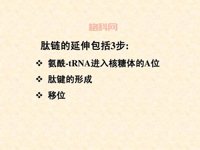 从基础到应用：肽链在生命科学中的重要角色