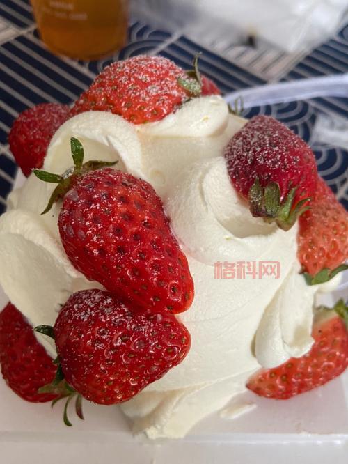 提古勒和弗洛尔的草莓冰淇淋测评，口感味道我来告诉你！