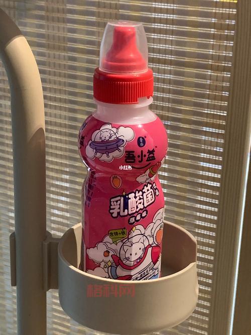 提古勒和弗洛尔的草莓冰淇淋测评，口感味道我来告诉你！