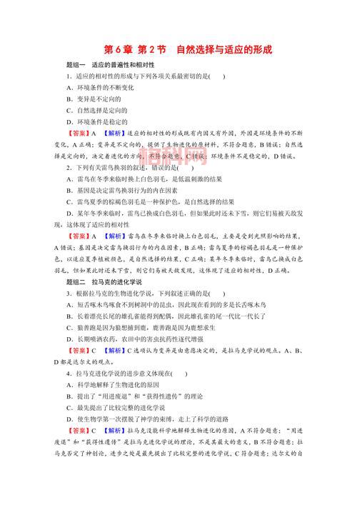 炫舞家具设计：提升舞台美感与实用性的选择