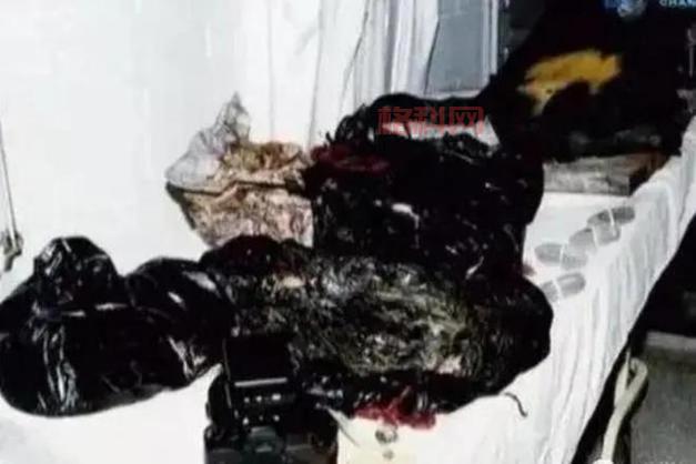 尸块合成师必看指南：尸块合成与装备提升详解