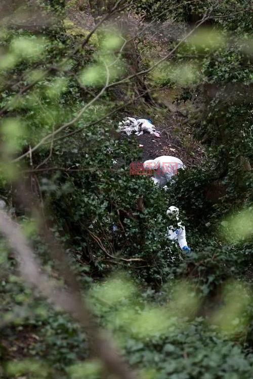 尸块合成师必看指南：尸块合成与装备提升详解