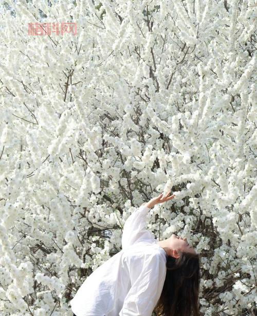 泳装美少清新治愈系泳装写真，夏日少女的魅力瞬间