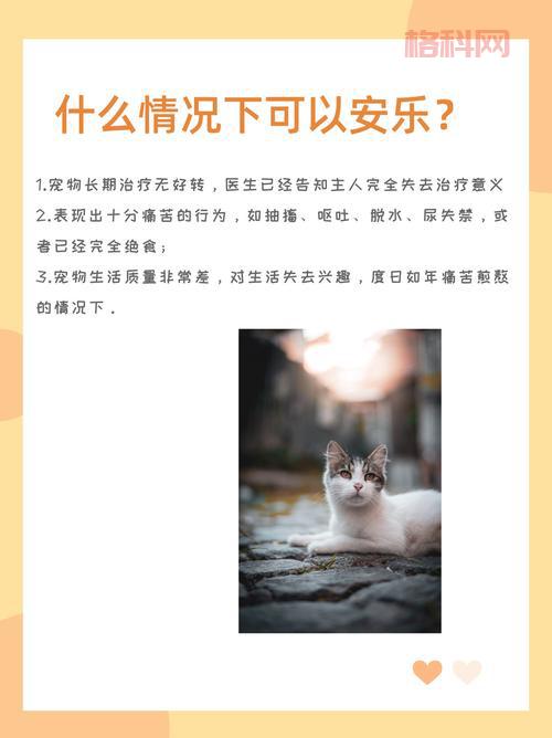 暗黑3宠物怎么获得？教你快速刷齐20种超萌宠物！