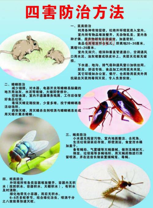 什么是四害？全面解析四害的由来与危害