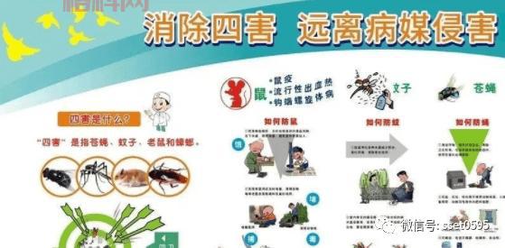 什么是四害？全面解析四害的由来与危害