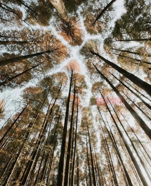 享受生活吧少年：树洞机器人与你谈人生与奋斗