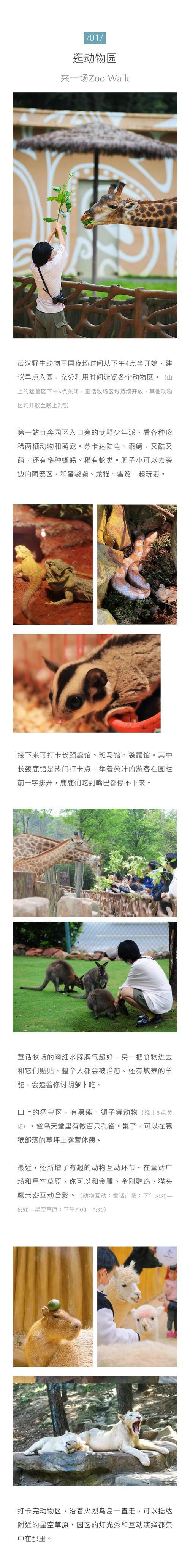 千年3好玩吗？深度评测、玩法攻略全解析！