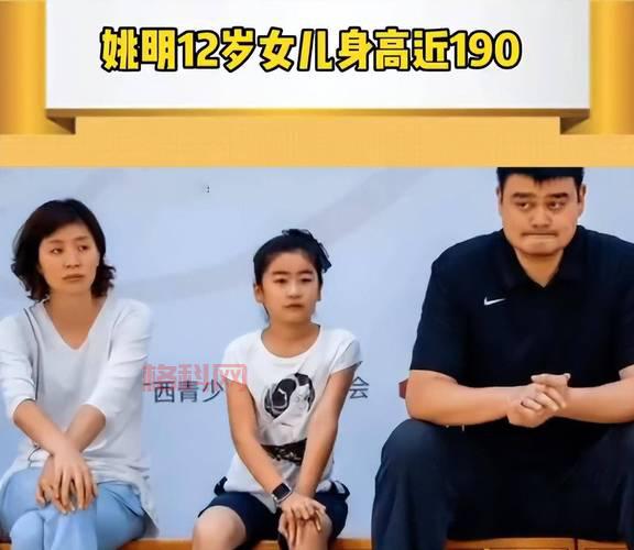 姚明12岁儿身高