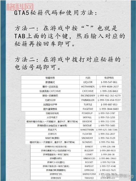侠盗飞车6秘籍怎么用？新手必看操作指南！