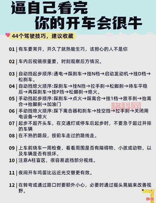 592wg.com怎么玩？老司机带你快速上手！