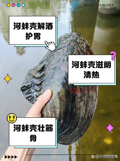 哪里可以买到正宗蚌背鱼？教你几个小窍门！