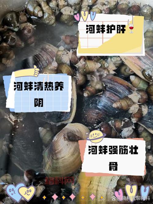 哪里可以买到正宗蚌背鱼？教你几个小窍门！