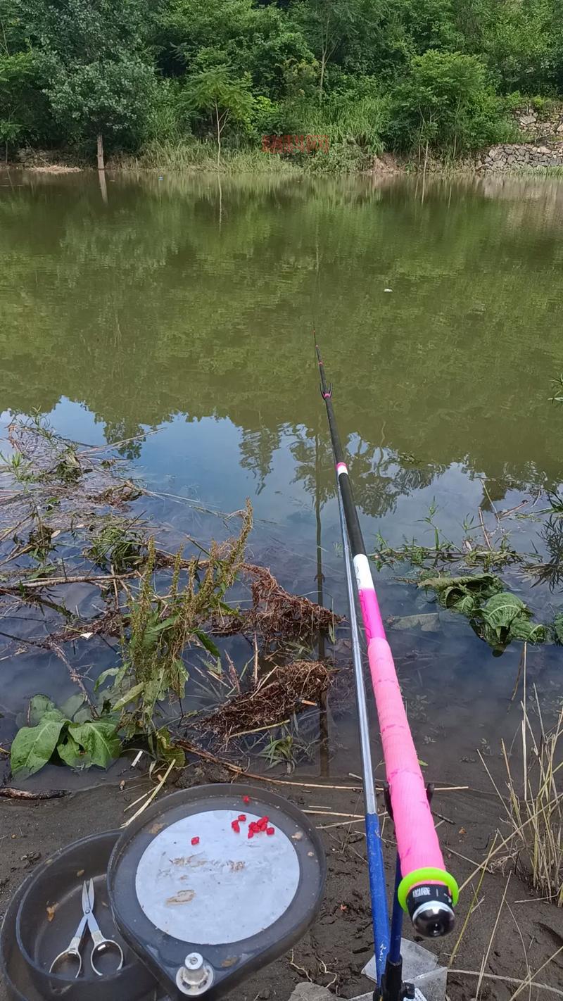 fish off