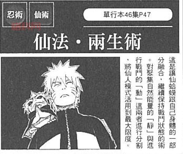 仙术师是什么？新手入门必看的基础知识科普！