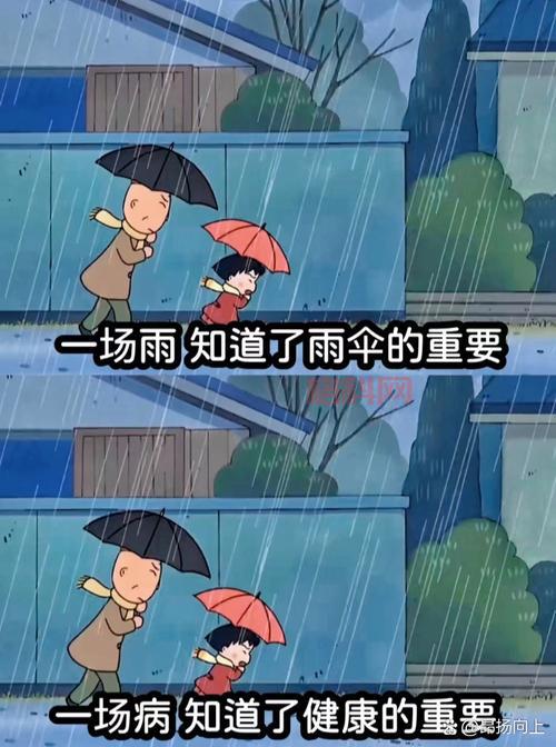 雨后小故事闪图合集，看完心情都变好了！