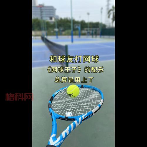 想找网球宝贝官网？这篇文章给你最全的介绍！