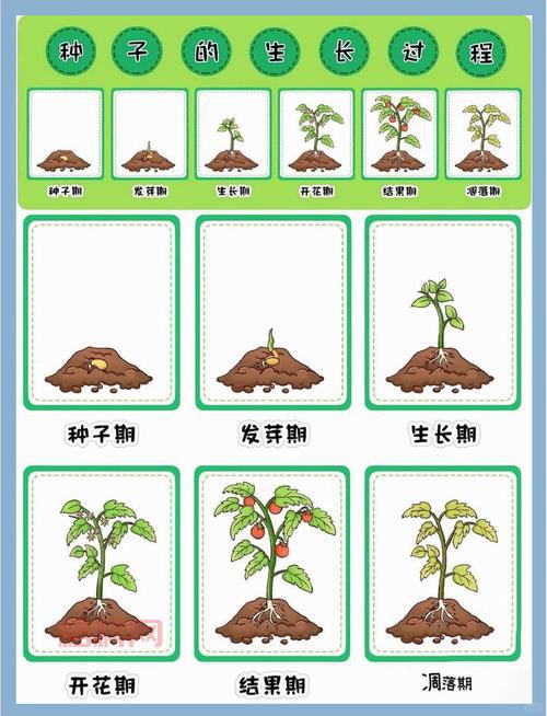 求种子怎么搜索？教你几个关键词快速找到目标！