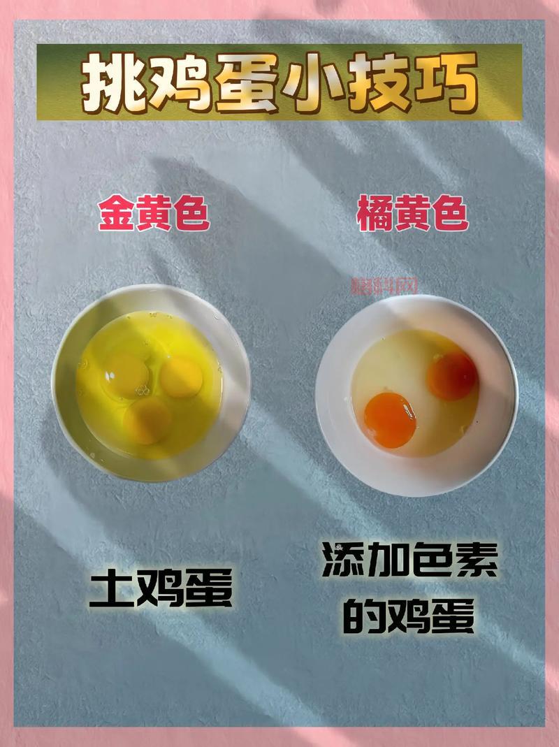 寻蛋有什么好玩的小窍门？这些秘籍让你轻松赢大奖！