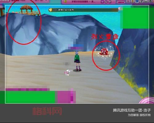 烈火章鱼是什么？看完这篇你就明白了！