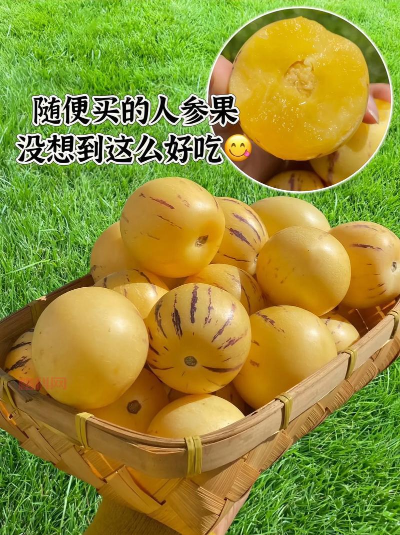 梦幻超级人参果怎么获得？老玩家分享获取攻略！