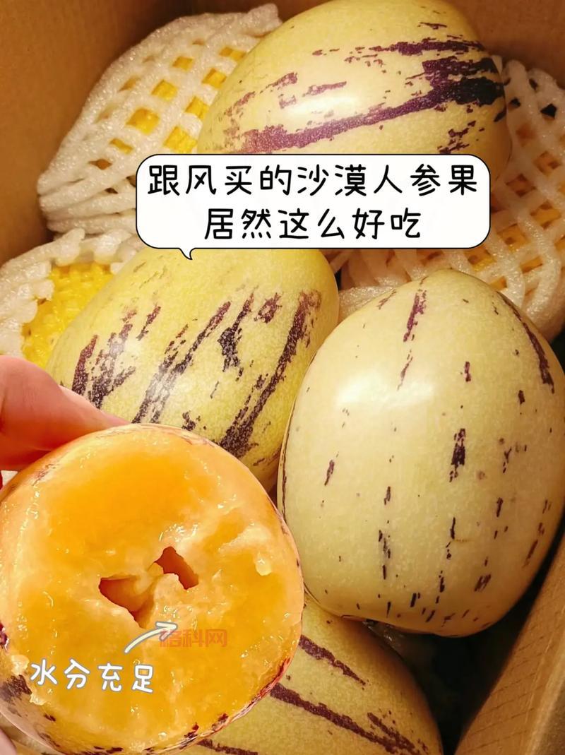 梦幻超级人参果怎么获得？老玩家分享获取攻略！