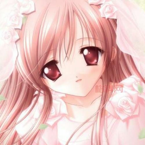 想玩转美少女养成计划4.9？超详细攻略在此！