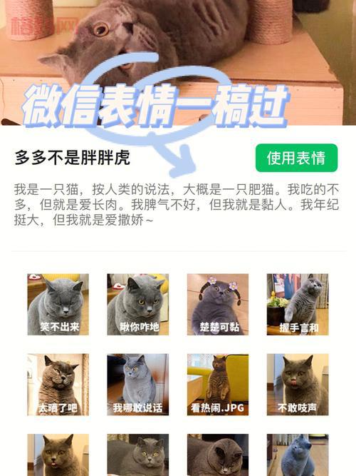 血战缅甸修改器无限资源版，让你轻松通关！