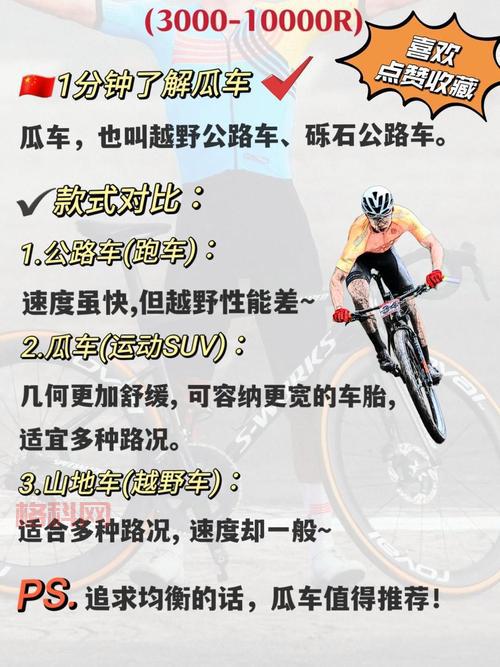 公路汽车比赛的规则难不难？简单几步教你看懂比赛！