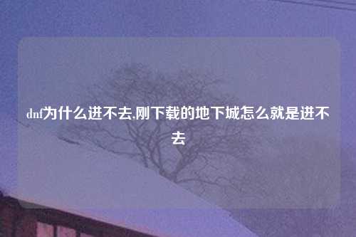 dnf为什么进不去,刚下载的地下城怎么就是进不去