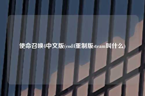 使命召唤4中文版(cod4重制版steam叫什么)