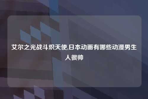 艾尔之光战斗炽天使,日本动画有哪些动漫男生人很帅