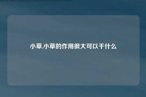 小草,小草的作用很大可以干什么