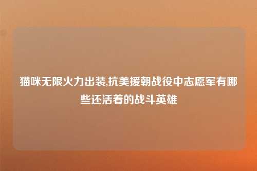 猫咪无限火力出装,抗美援朝战役中志愿军有哪些还活着的战斗英雄