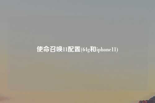 使命召唤11配置(64g和iphone11)