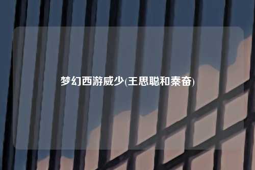 梦幻西游威少(王思聪和秦奋)