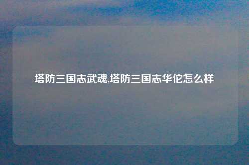 塔防三国志武魂,塔防三国志华佗怎么样