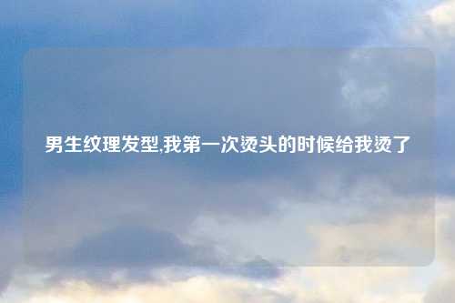 男生纹理发型,我第一次烫头的时候给我烫了