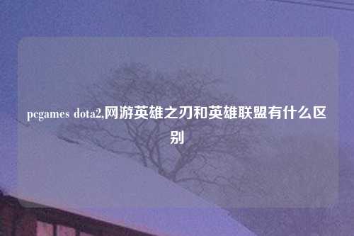 pcgames dota2,网游英雄之刃和英雄联盟有什么区别