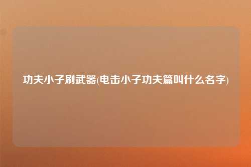 功夫小子刷武器(电击小子功夫篇叫什么名字)